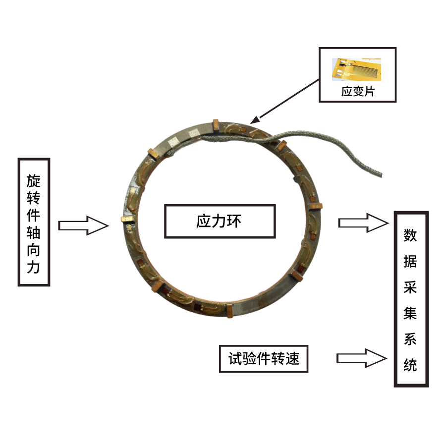 默认标题__2025-12-05+13_40_32.png